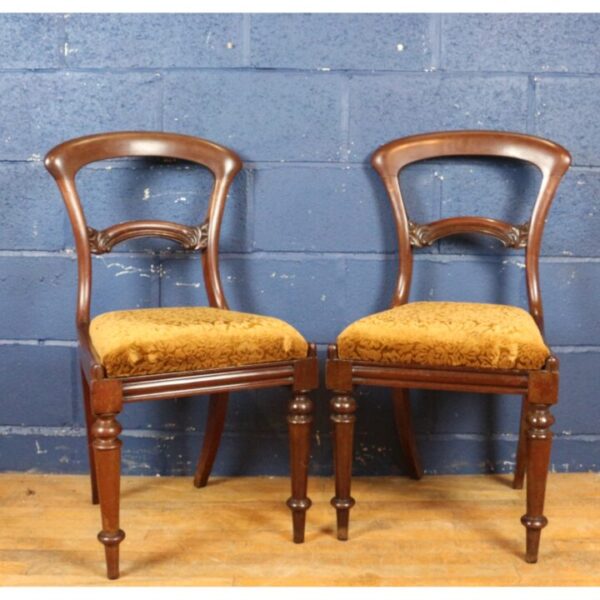 A Set of Four Victorian Mahogany Balloon Back Dining Chairs Raised on Turned Supports - Image 2