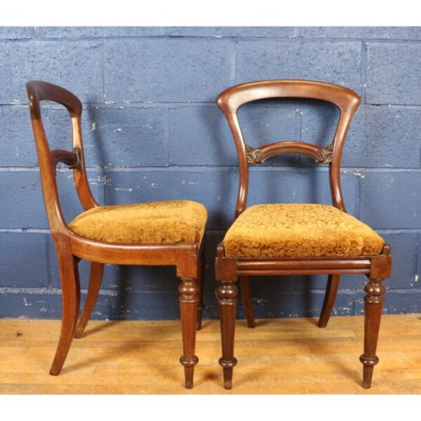 A Set of Four Victorian Mahogany Balloon Back Dining Chairs Raised on Turned Supports - Image 7